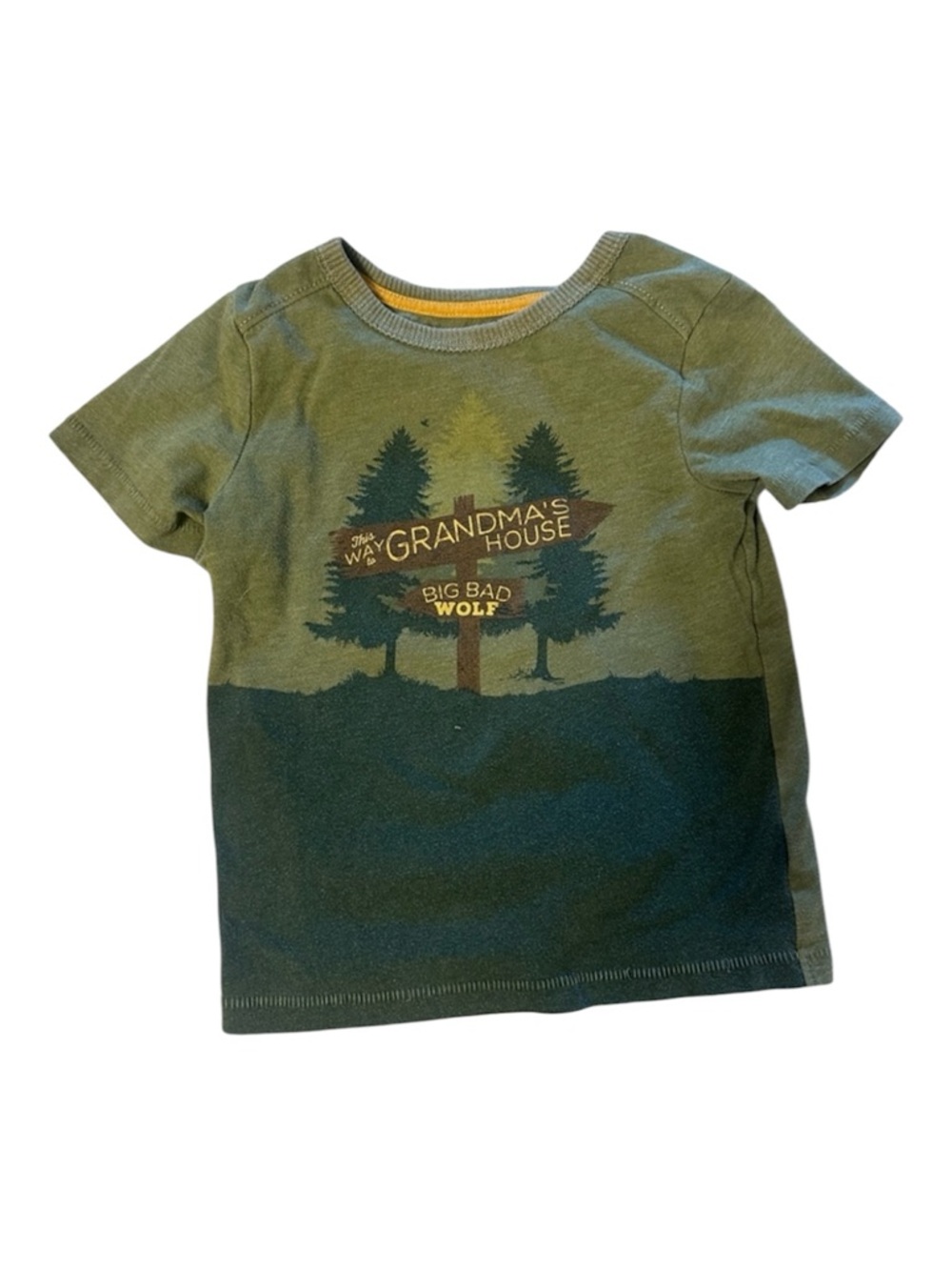 OshKosh B'gosh Green Graphic Tee in 3T